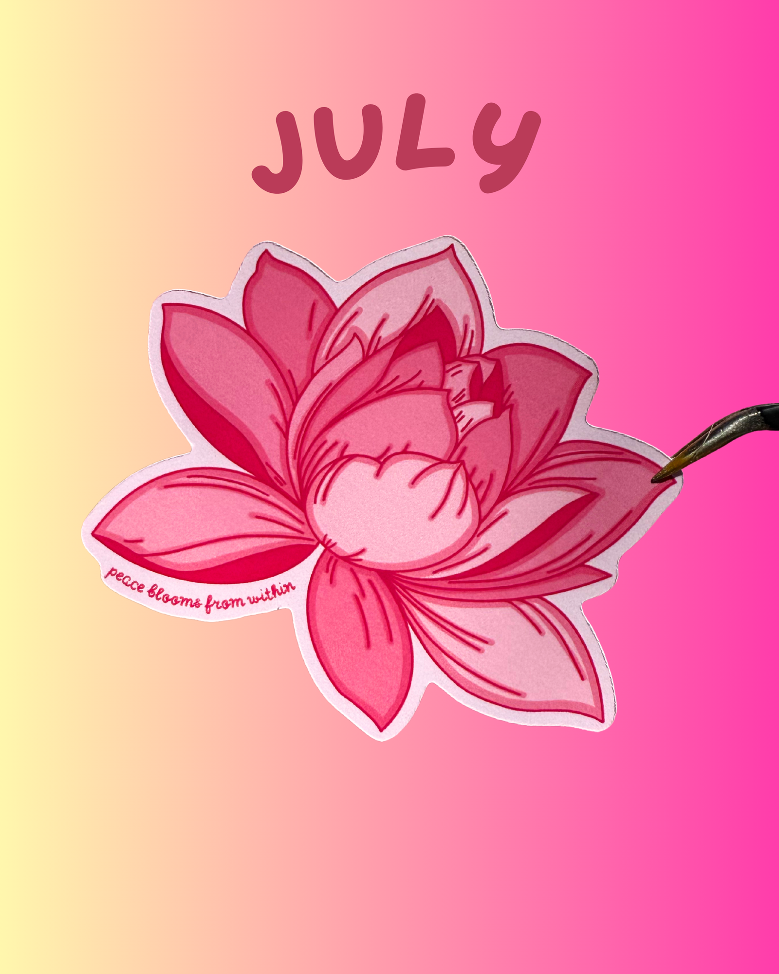 Dave’s Monthly Sticker Club- July